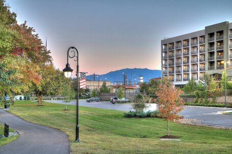 Courtyard by Marriott Pigeon Forge - Image 26