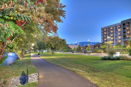 Courtyard by Marriott Pigeon Forge - Image 68