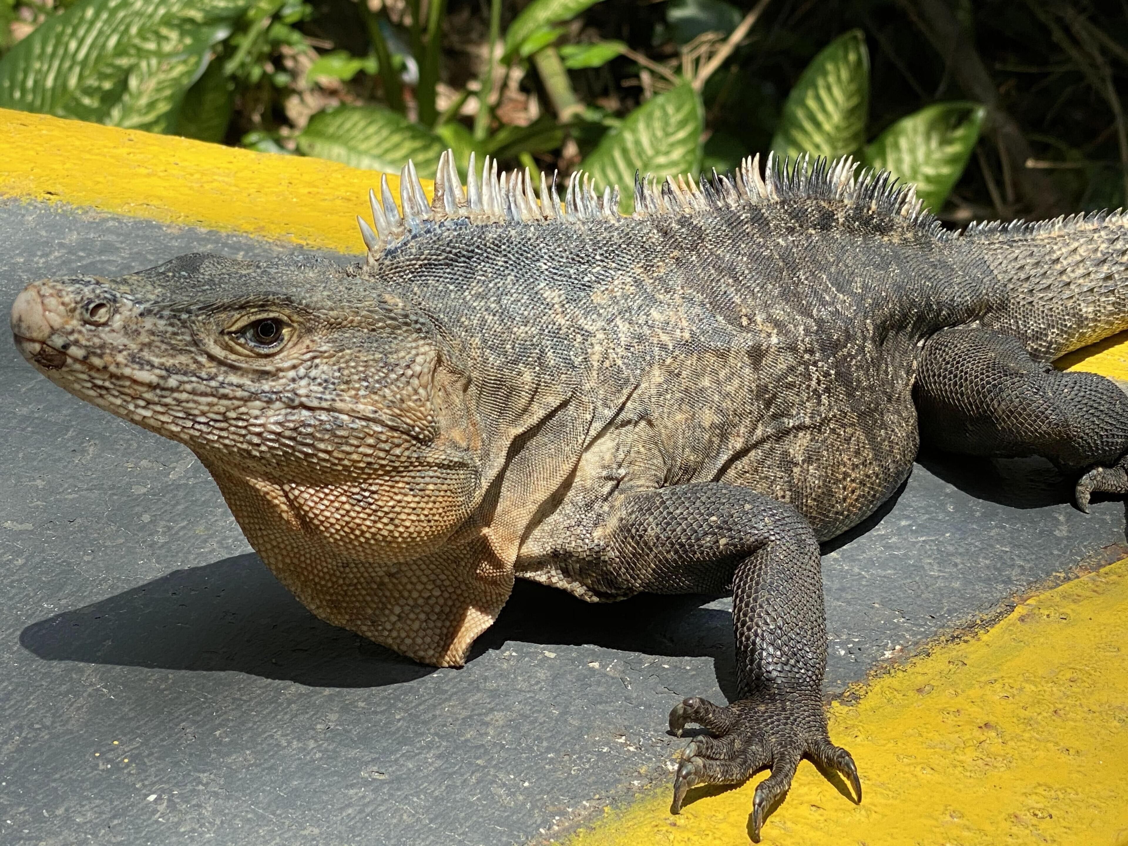 18-inch flat-screen tv with cable channels, tv