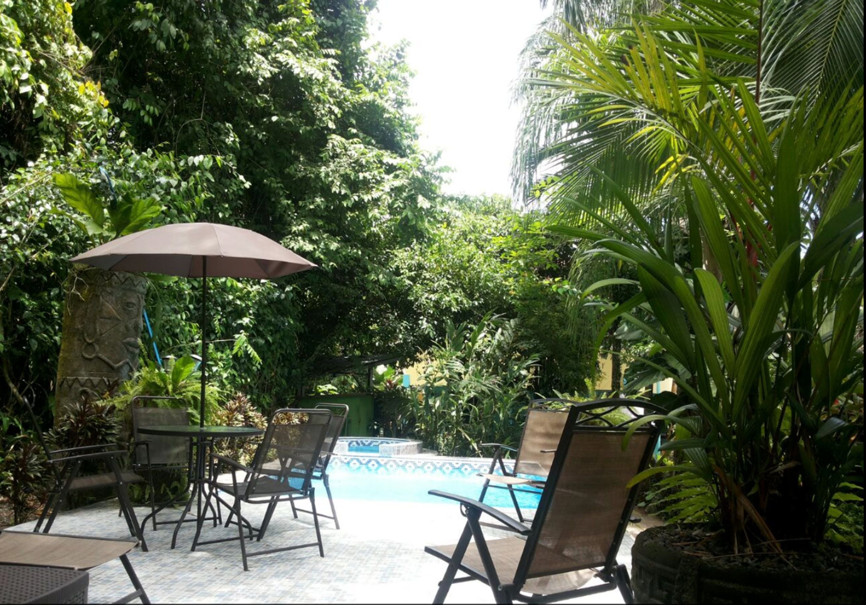 An outdoor pool area with lounge chairs and a table, surrounded by lush greenery and a stone wall.