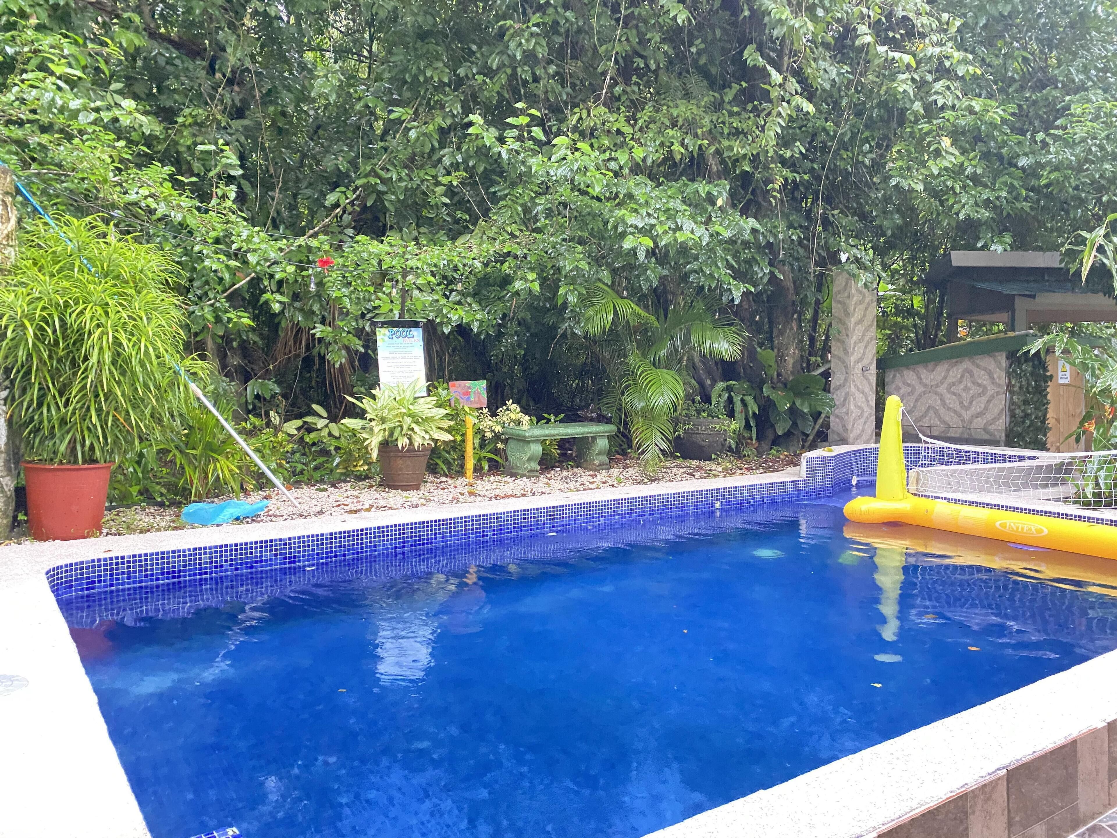 Ein Swimmingpool mit blau gefliestem Rand, umgeben von üppiger Vegetation und einem Holzzaun.