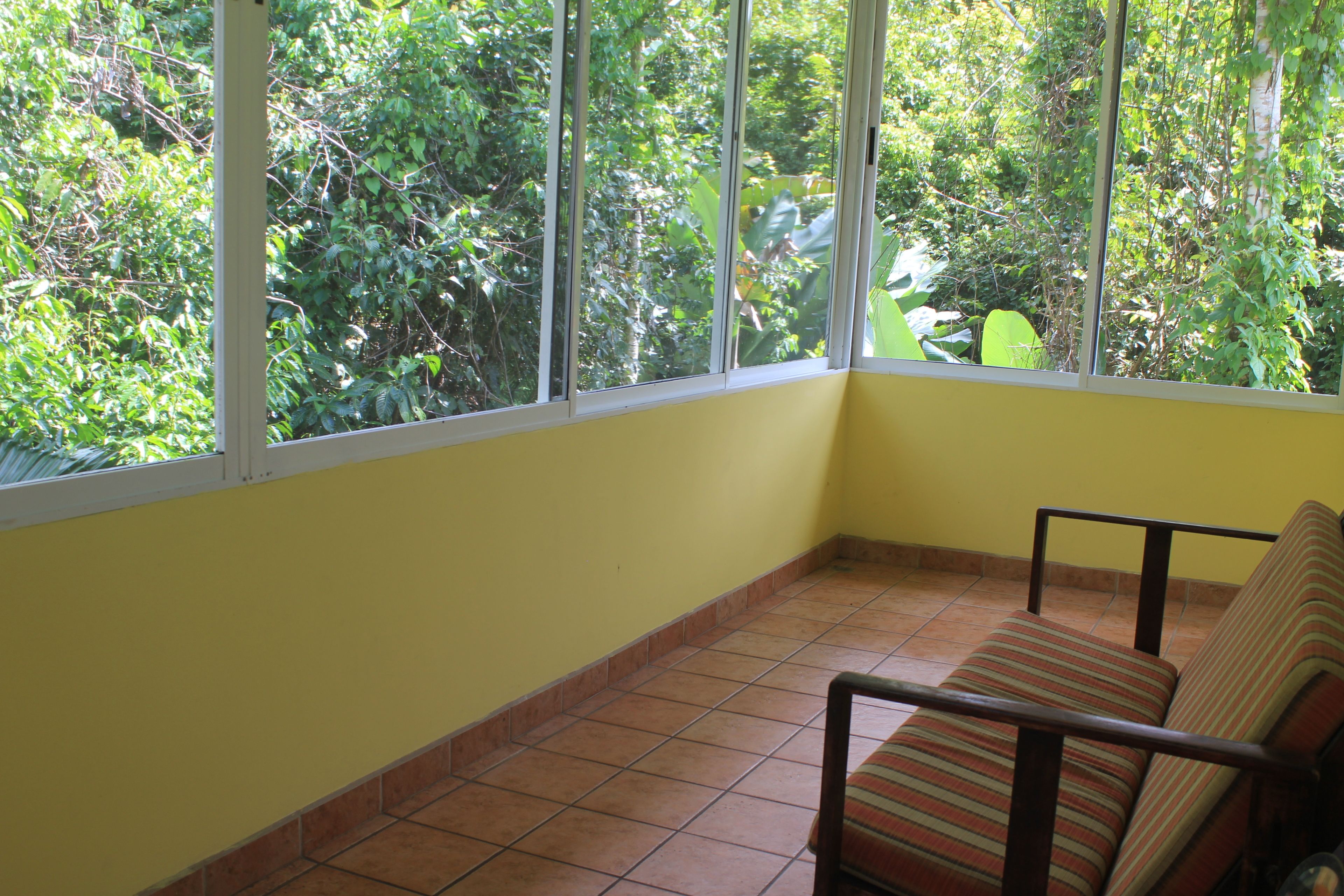 ara macao house | view from room