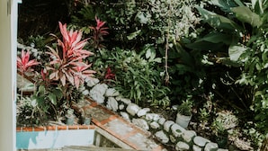 A staircase with a balustrade leading to a garden area with various plants and a stone wall. - Hotel La Posada and Jungle (Quepos)