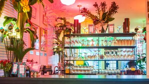 A bar area with stools, a shelf with glasses, and decorative plants. - Zey Hotel (Greenport)
