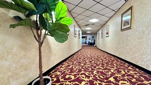 Un pasillo con alfombra estampada, una planta en maceta, cuadros en las paredes y techo de baldosas.
