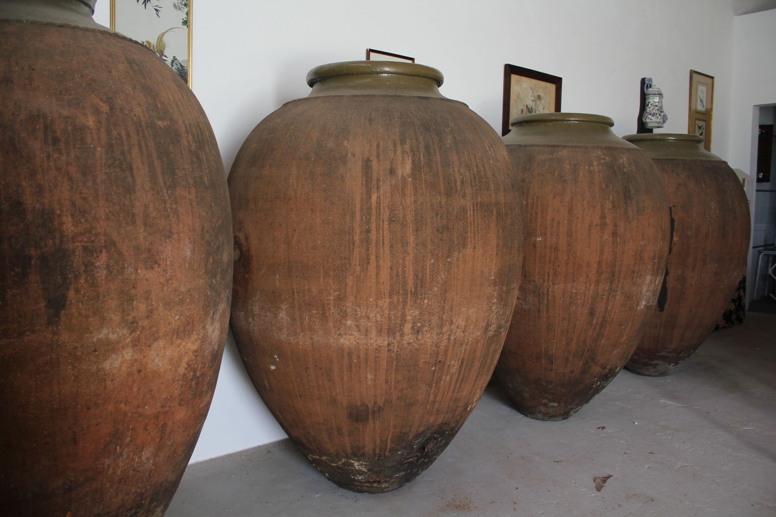 Large, rustic ceramic pots lined up against a wall.