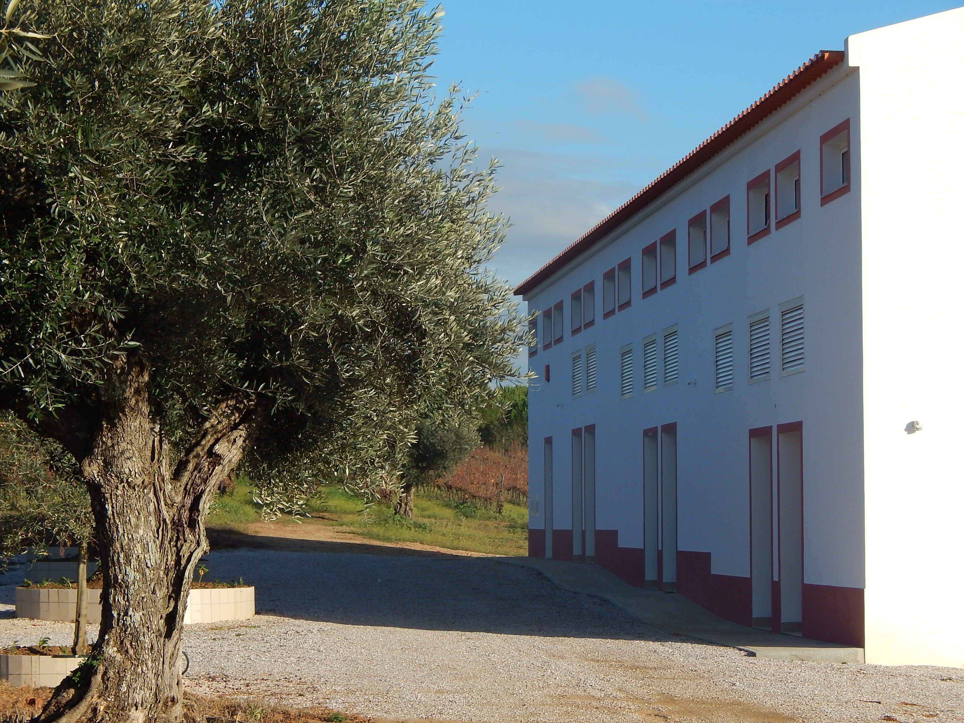 Un edifici amb façana blanca i adorns vermells, amb diverses finestres i teulada de rajoles vermelles.
