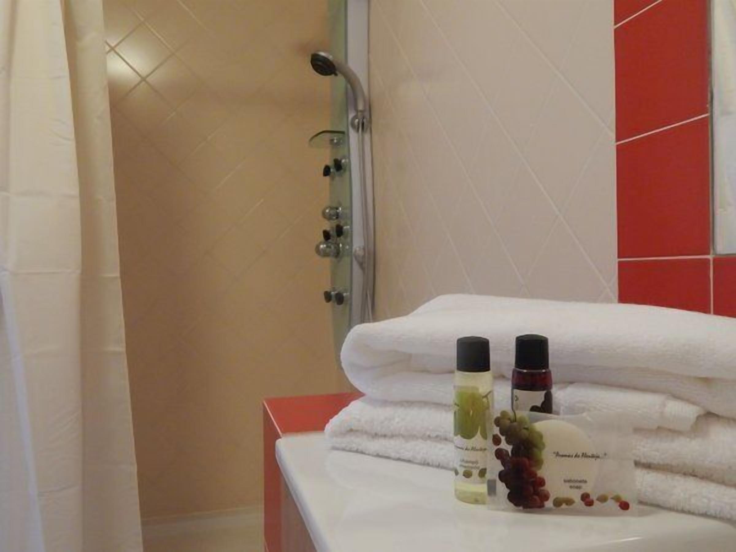 A bathroom with a shower, a towel rack, and two bottles of bath products on a counter.