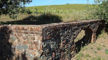 Vista dalla struttura