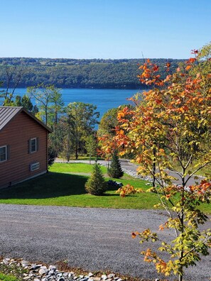 Exterior - Single Island Shores (Hector)