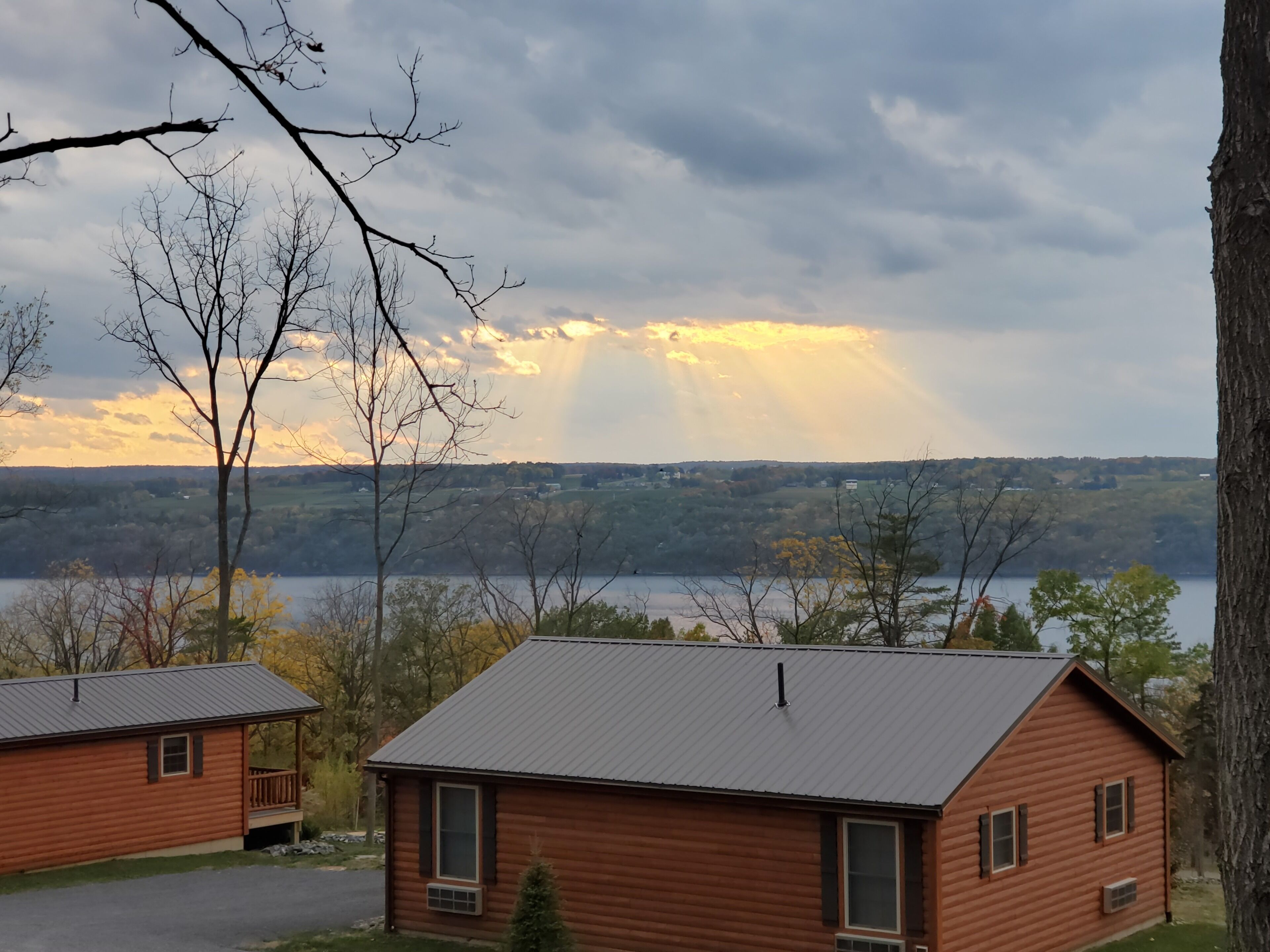 A cabin with a metal roof, a porch, and a view of a lake and forest.