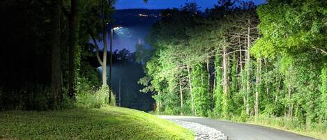 A paved road curving through a wooded area with a lake in the background.