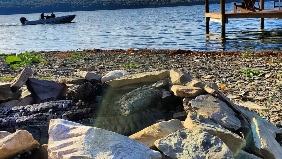 Single Island Shores