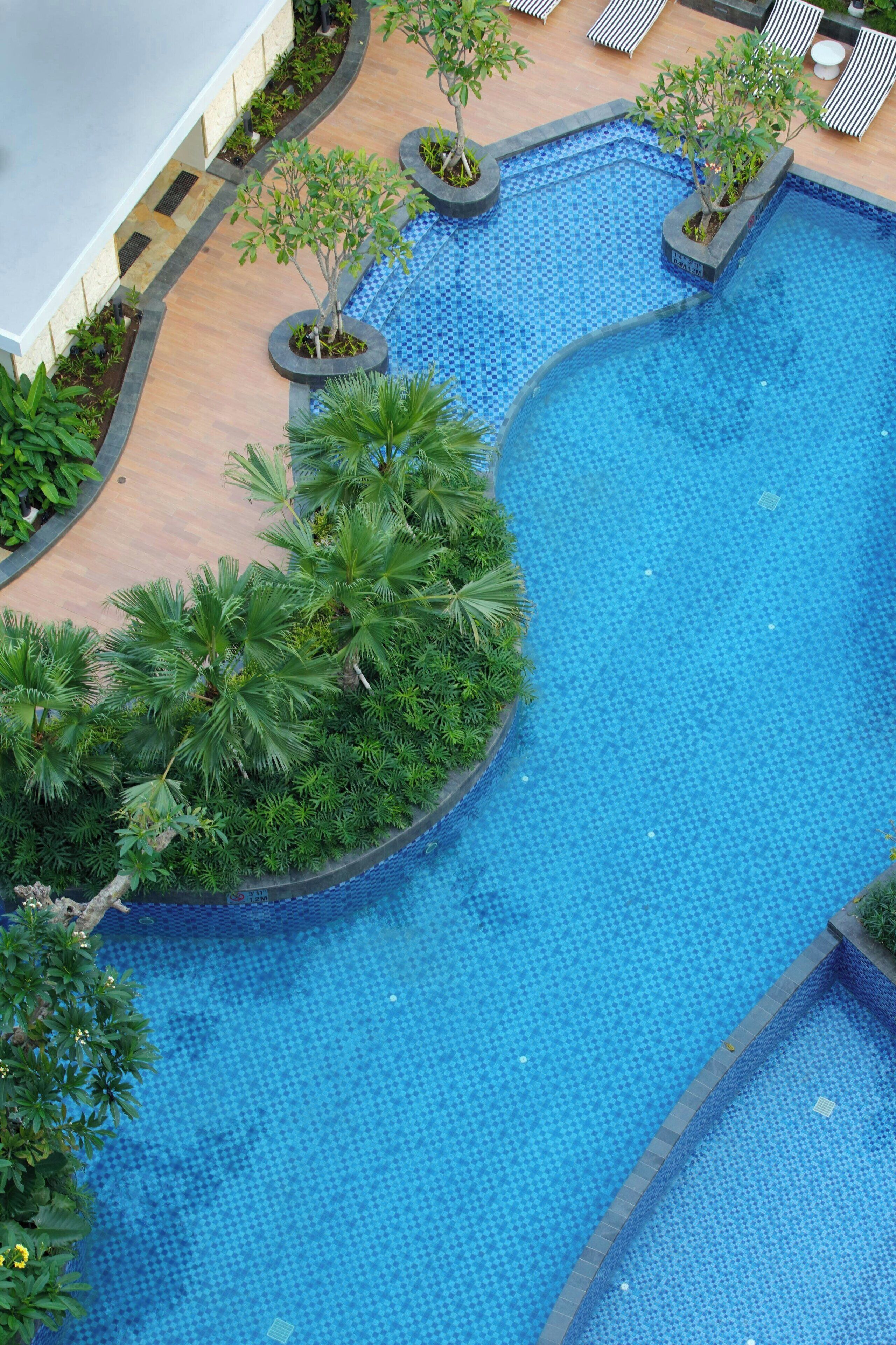 Outdoor pool, pool umbrellas, pool loungers