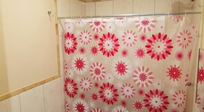 Douche de la salle de bain