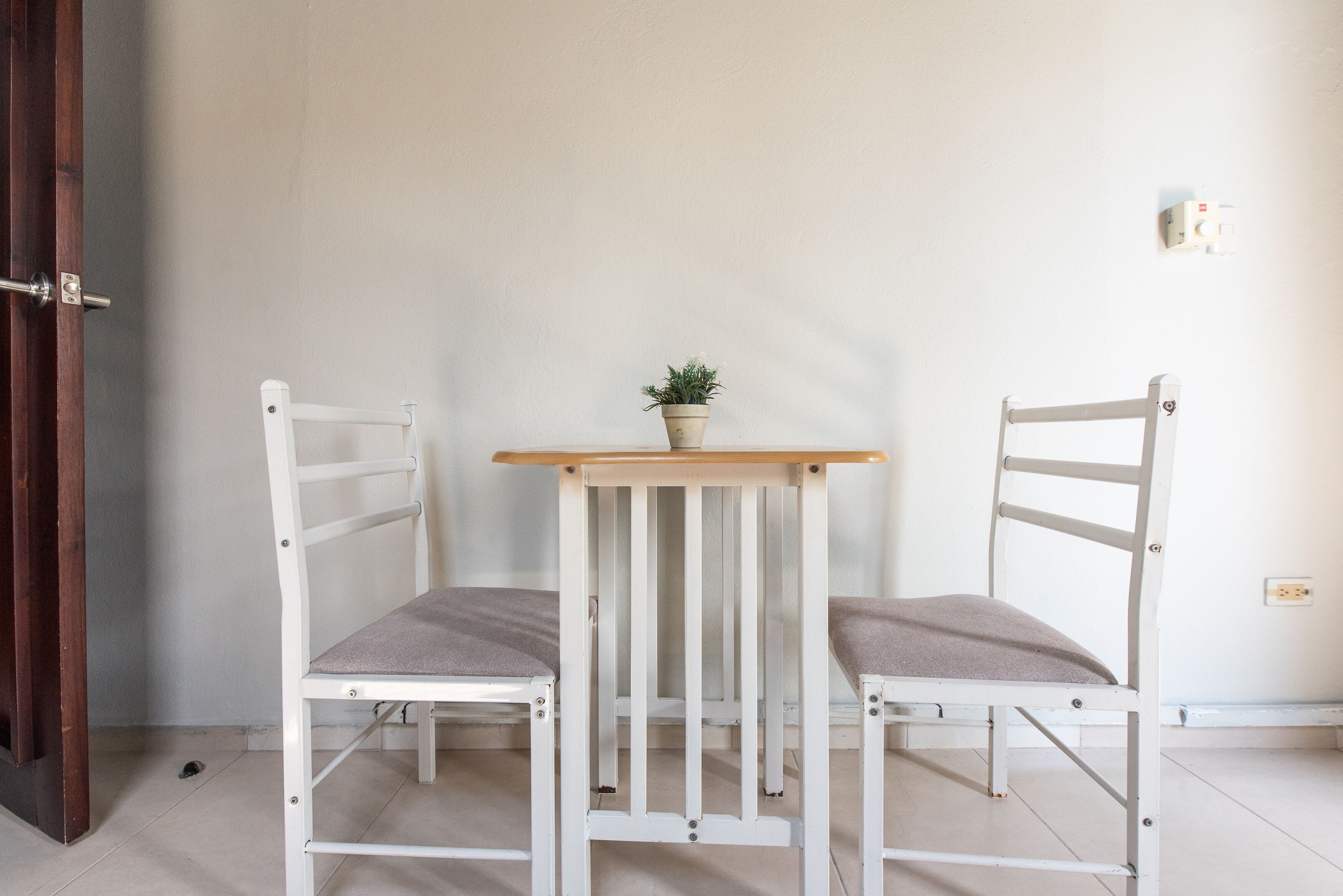 Una habitación con dos sillas blancas y una pequeña mesa con una planta en maceta.