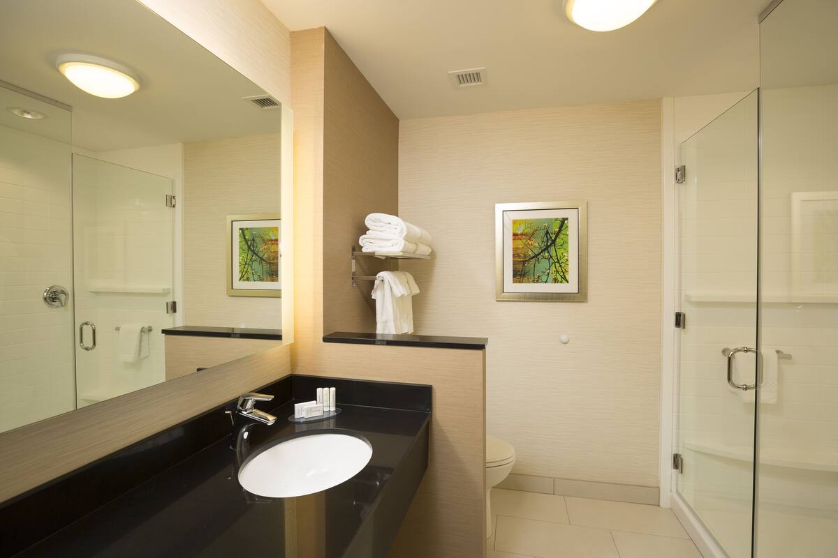 free toiletries, hair dryer, towels