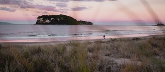Surf N Stay Whangamata