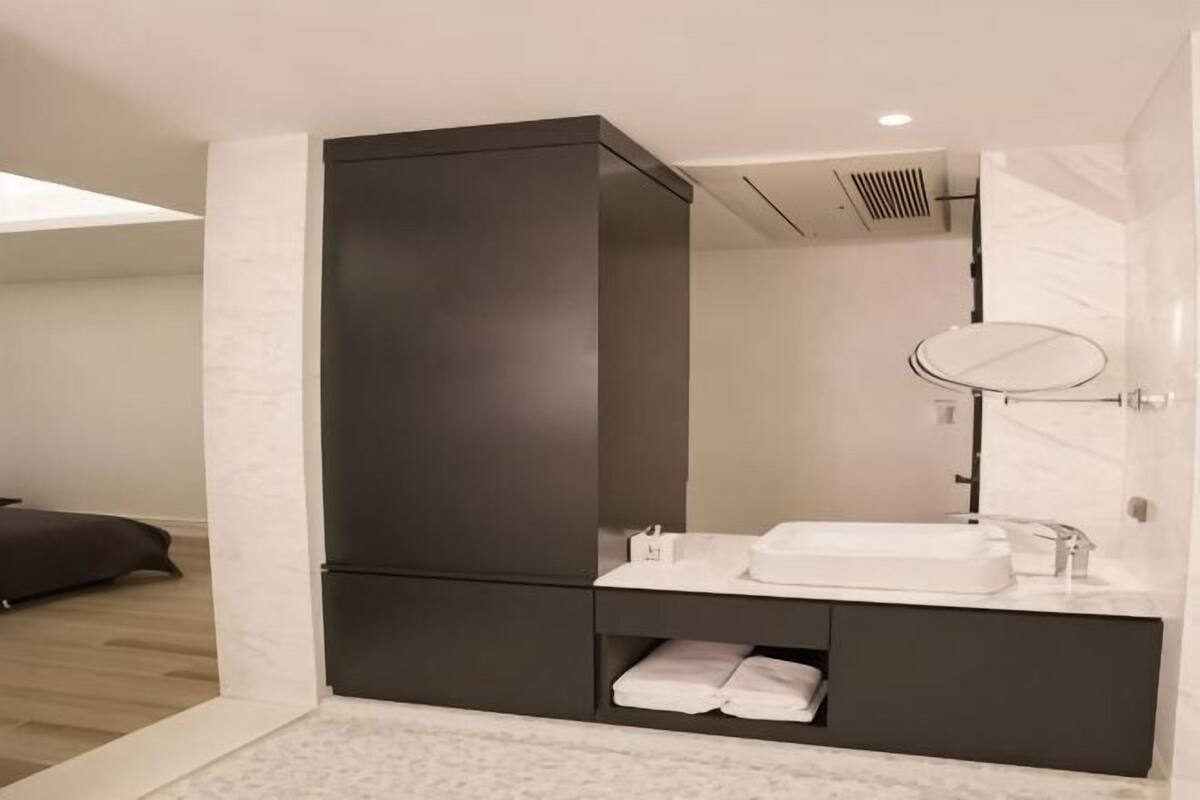 A modern bathroom with a dark wardrobe, a white sink, and a mirror.