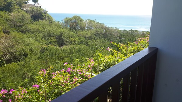 Vista da propriedade