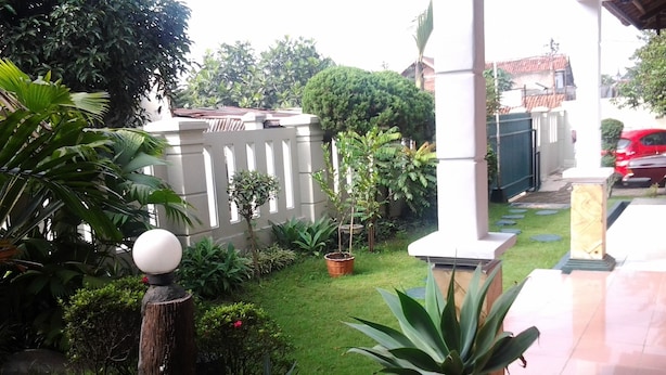Un jardín bien cuidado con diversas plantas y un sendero que lleva a un edificio.