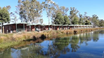A row of rustic cabins with a pond in the foreground.