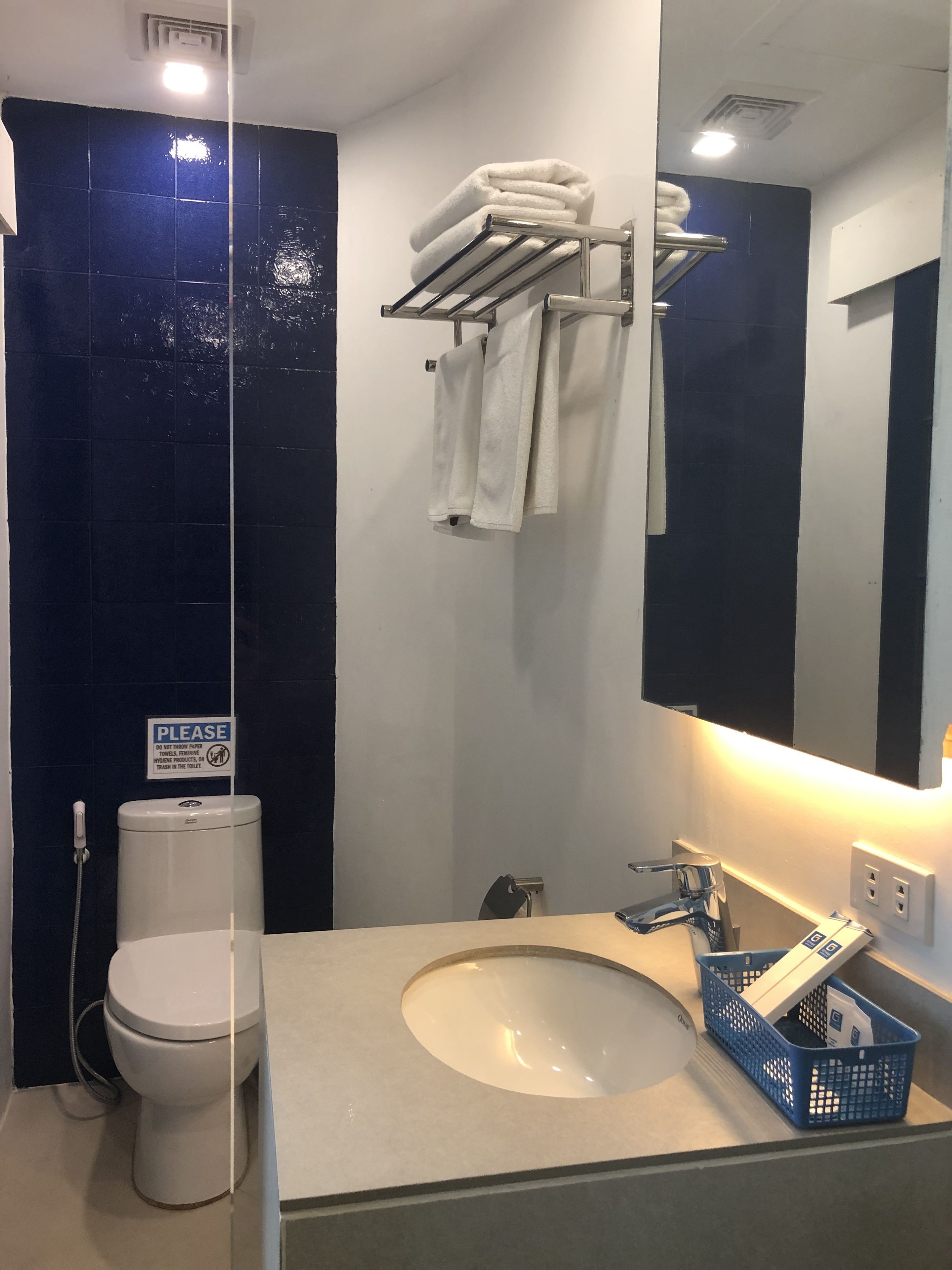 standard double room | bathroom | shower, rainfall showerhead, free toiletries, hair dryer