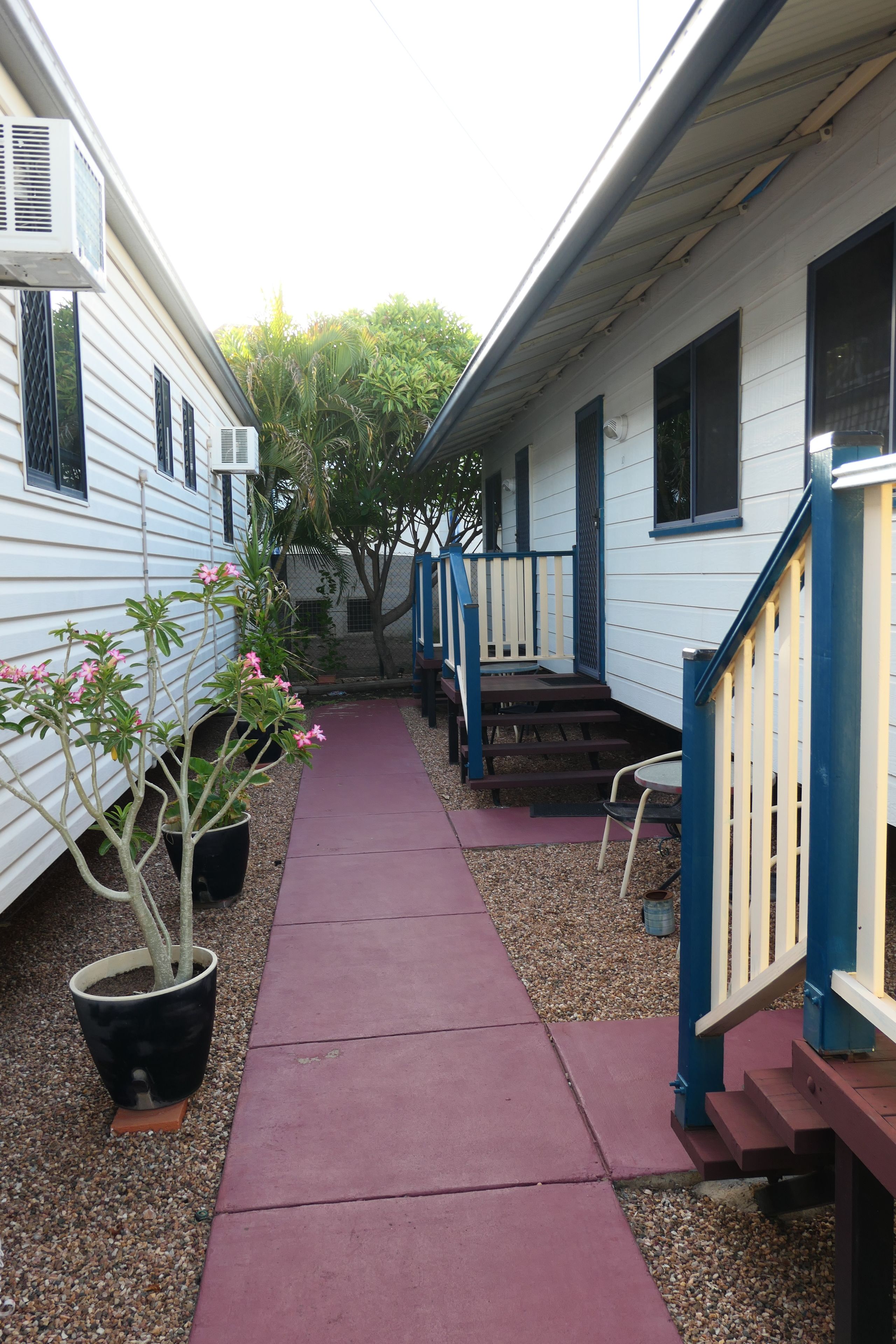 A narrow pathway leading to a row of white mobile homes with blue railings and a potted plant with pink flowers.