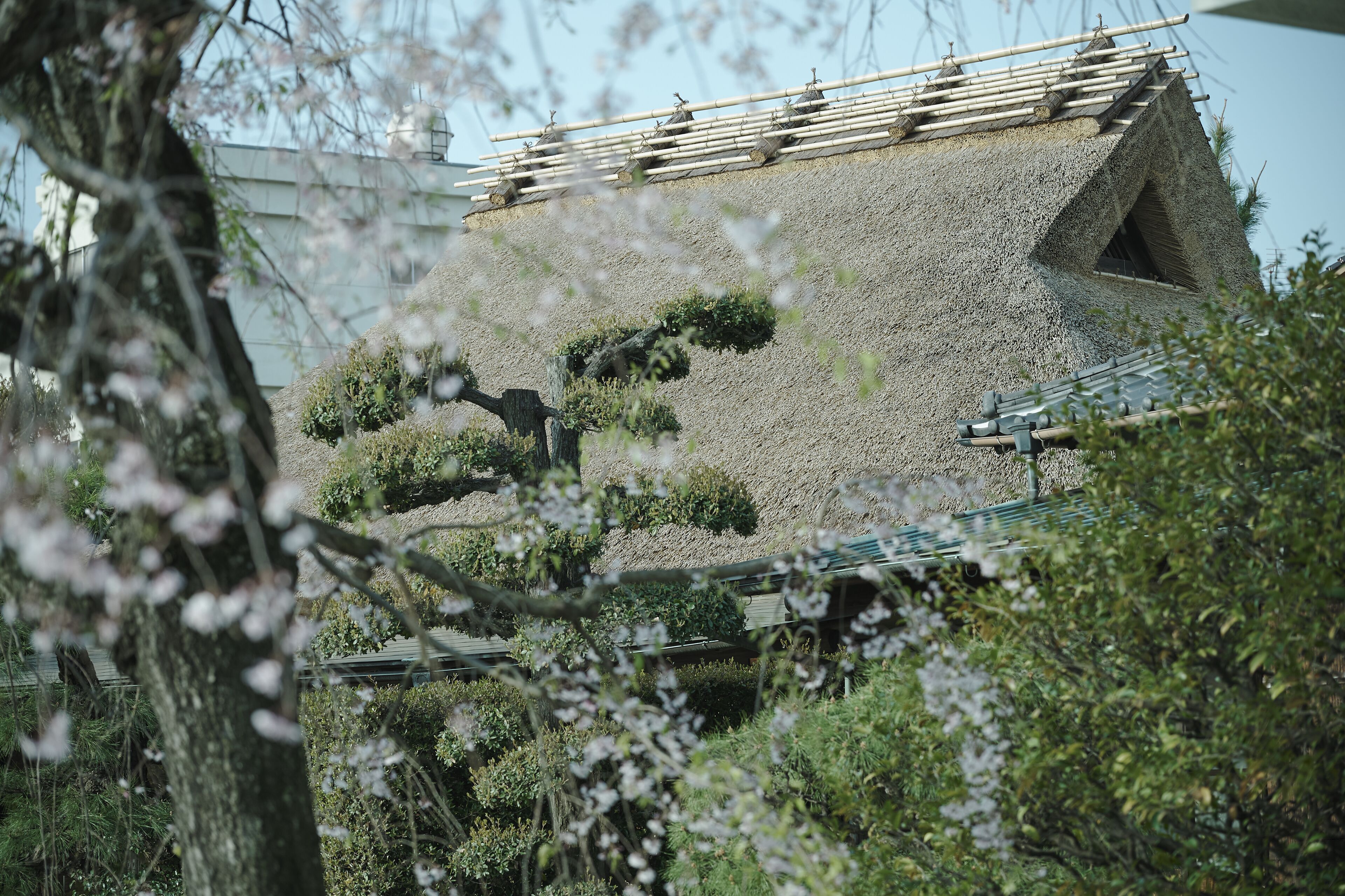 Un bâtiment traditionnel doté d’un toit en pente, entouré d’une végétation luxuriante et d’arbres.