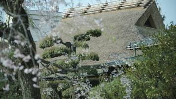 Un bâtiment traditionnel doté d’un toit en pente, entouré d’une végétation luxuriante et d’arbres.