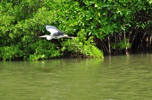 บริเวณภายนอก