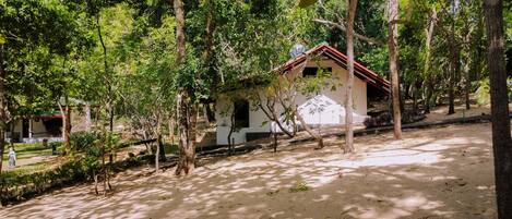 A small, white building with a red roof, surrounded by trees and a sandy ground.
