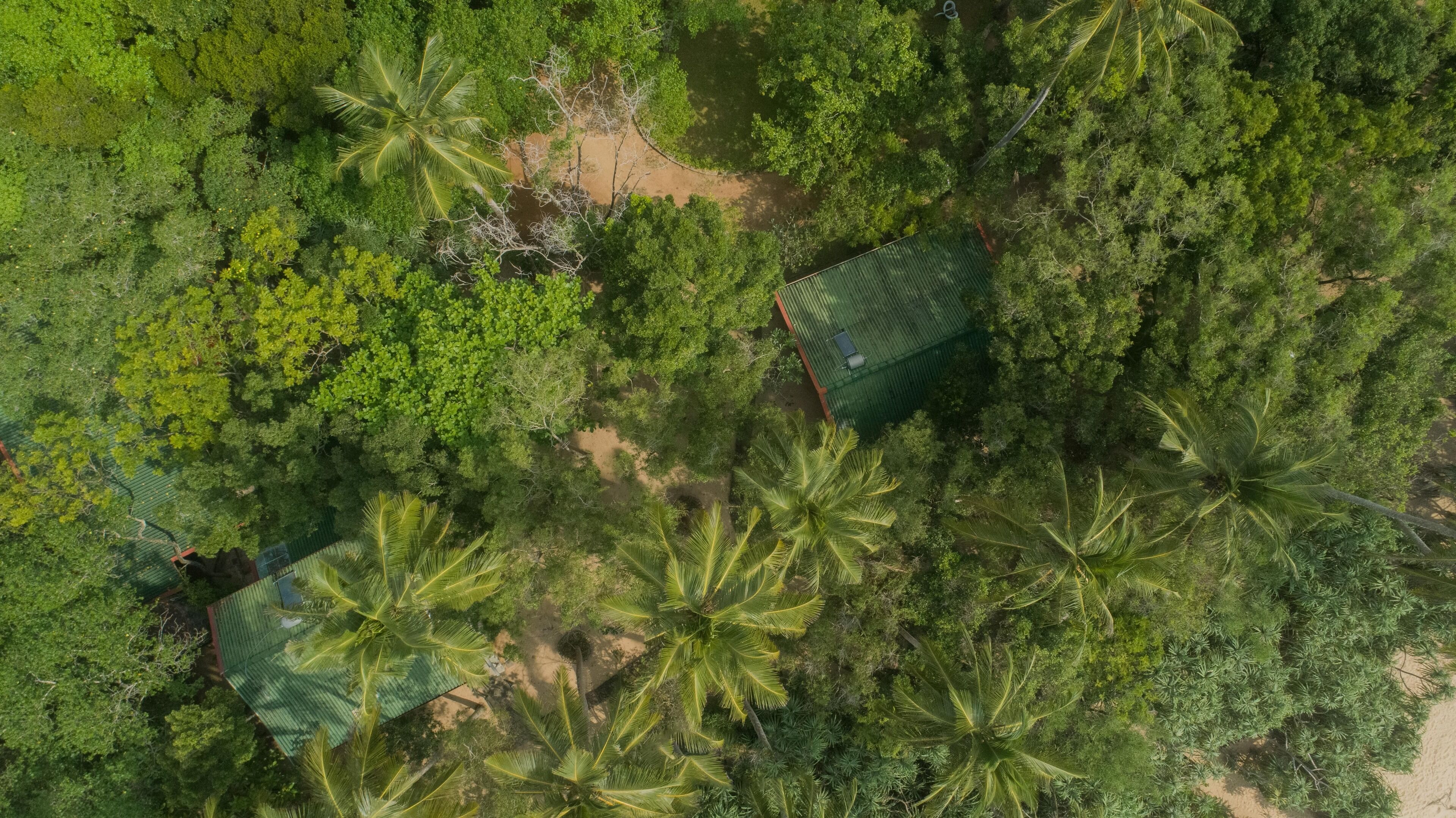 Vista aérea de una propiedad con varias estructuras de techo verde, rodeada de abundante vegetación y palmeras.