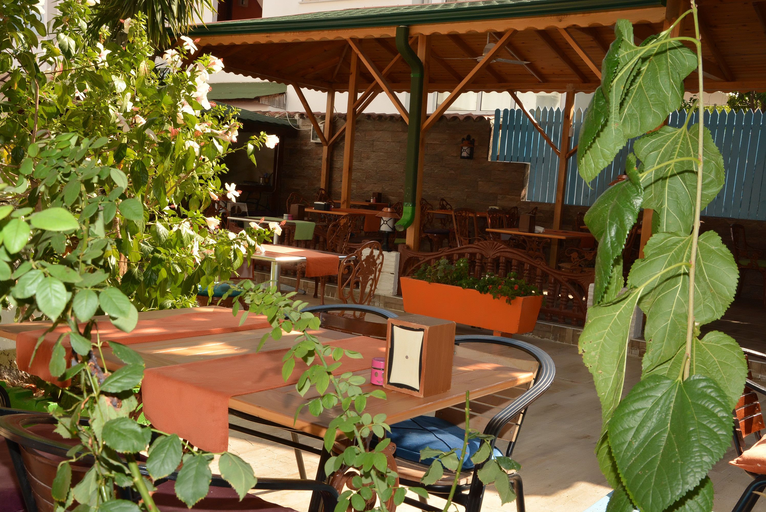 An outdoor seating area with tables and chairs, surrounded by greenery and a wooden pergola.