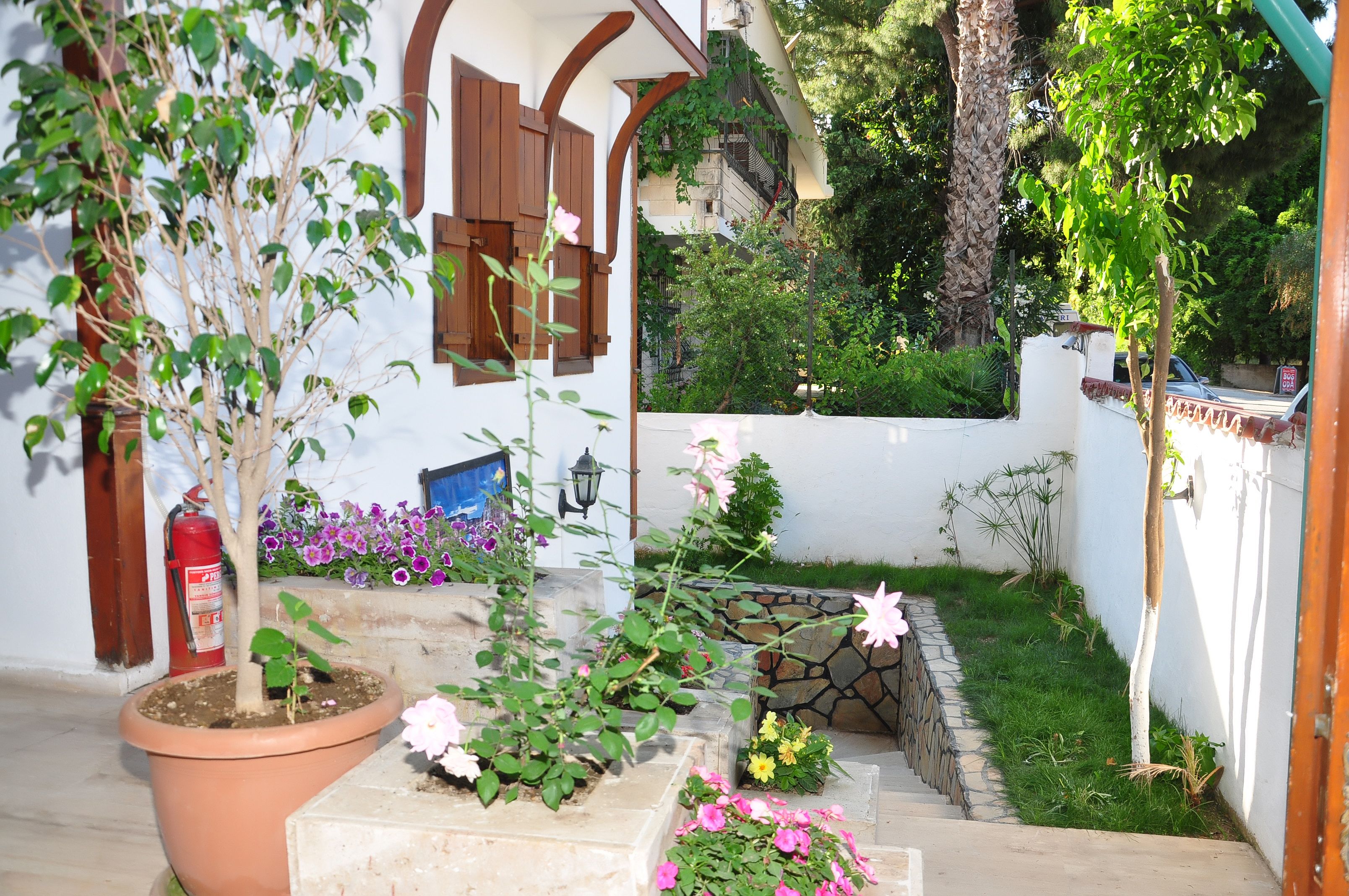 Foto - Kaliptus Hotel