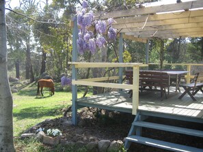Cottage, 3 Bedrooms, Vineyard View | Terrace/patio - Twisted Gum Cottage (Ballandean)