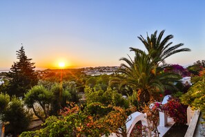 Vista desde la propiedad