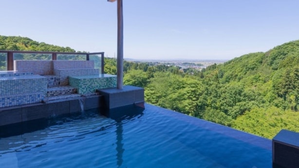 A rooftop infinity pool with a view of a forested hillside.