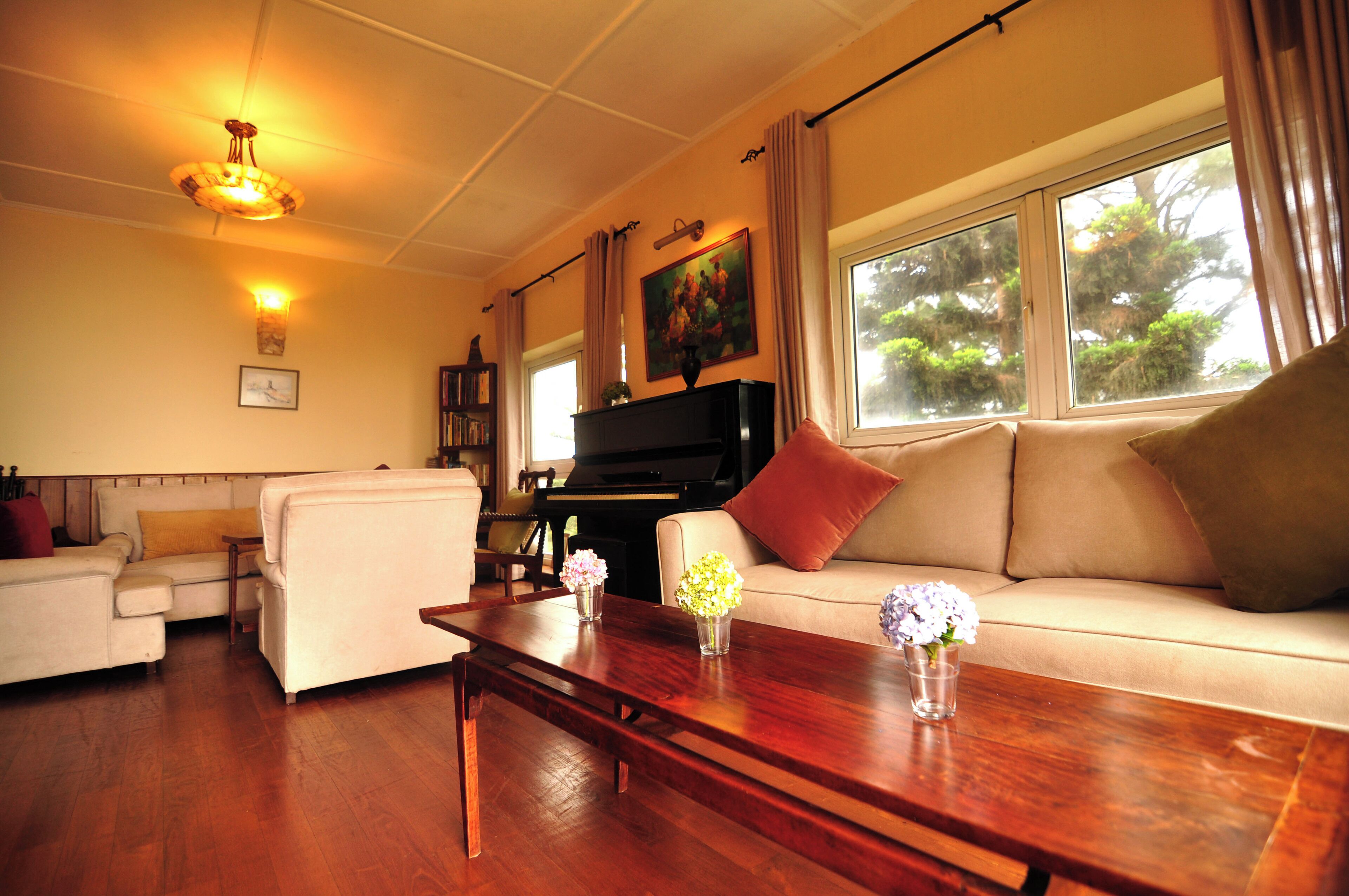 Télévision à écran plat