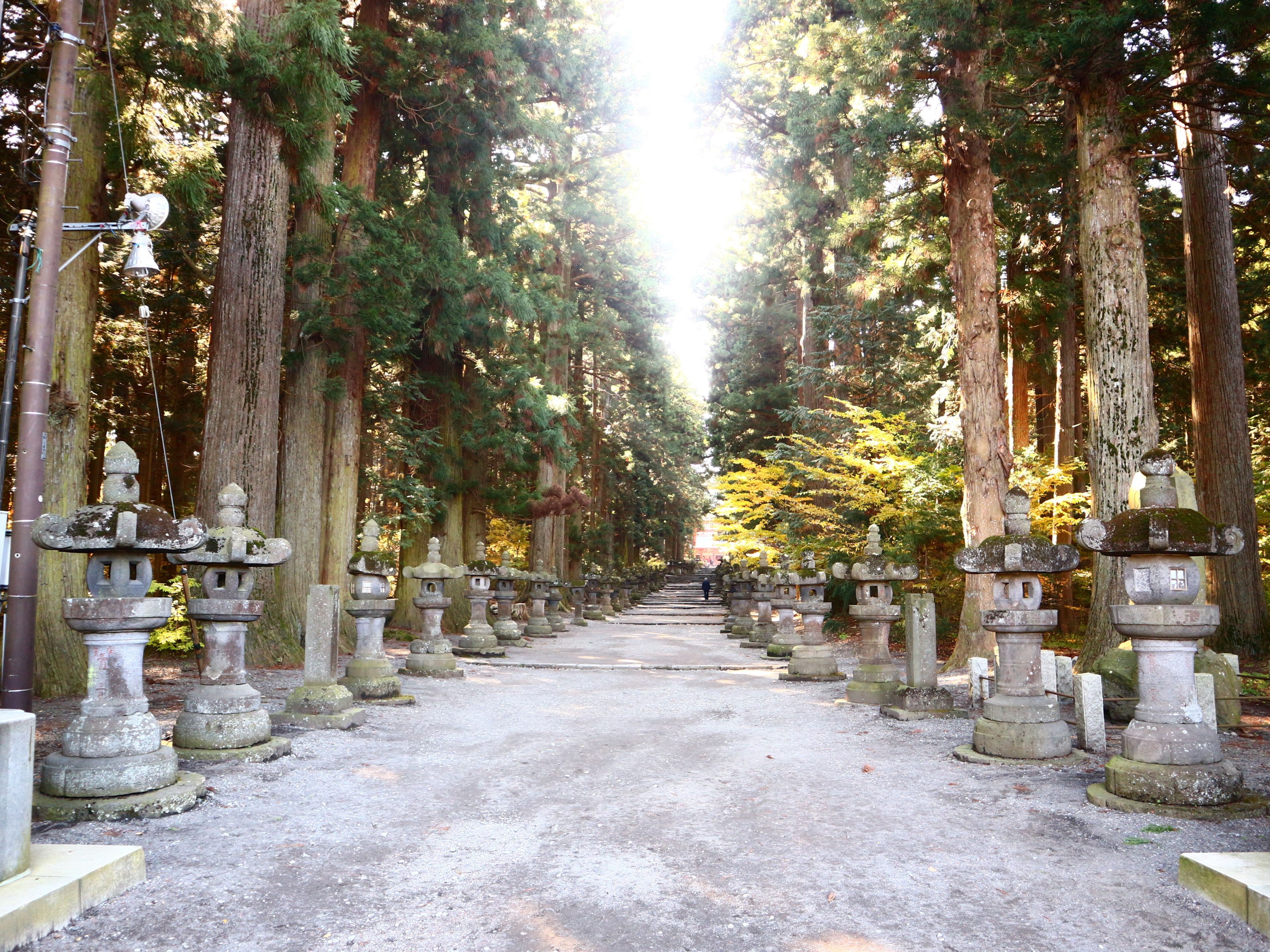 A pathway lined with stone lanterns and trees, leading towards a distant structure.