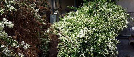 Utsikt frÄn boendet