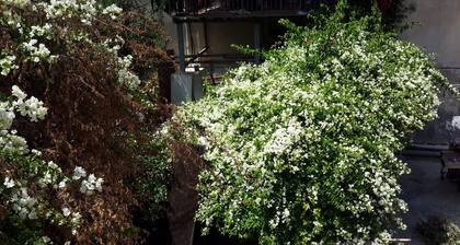 Daher Guest House Nazareth - Hostel