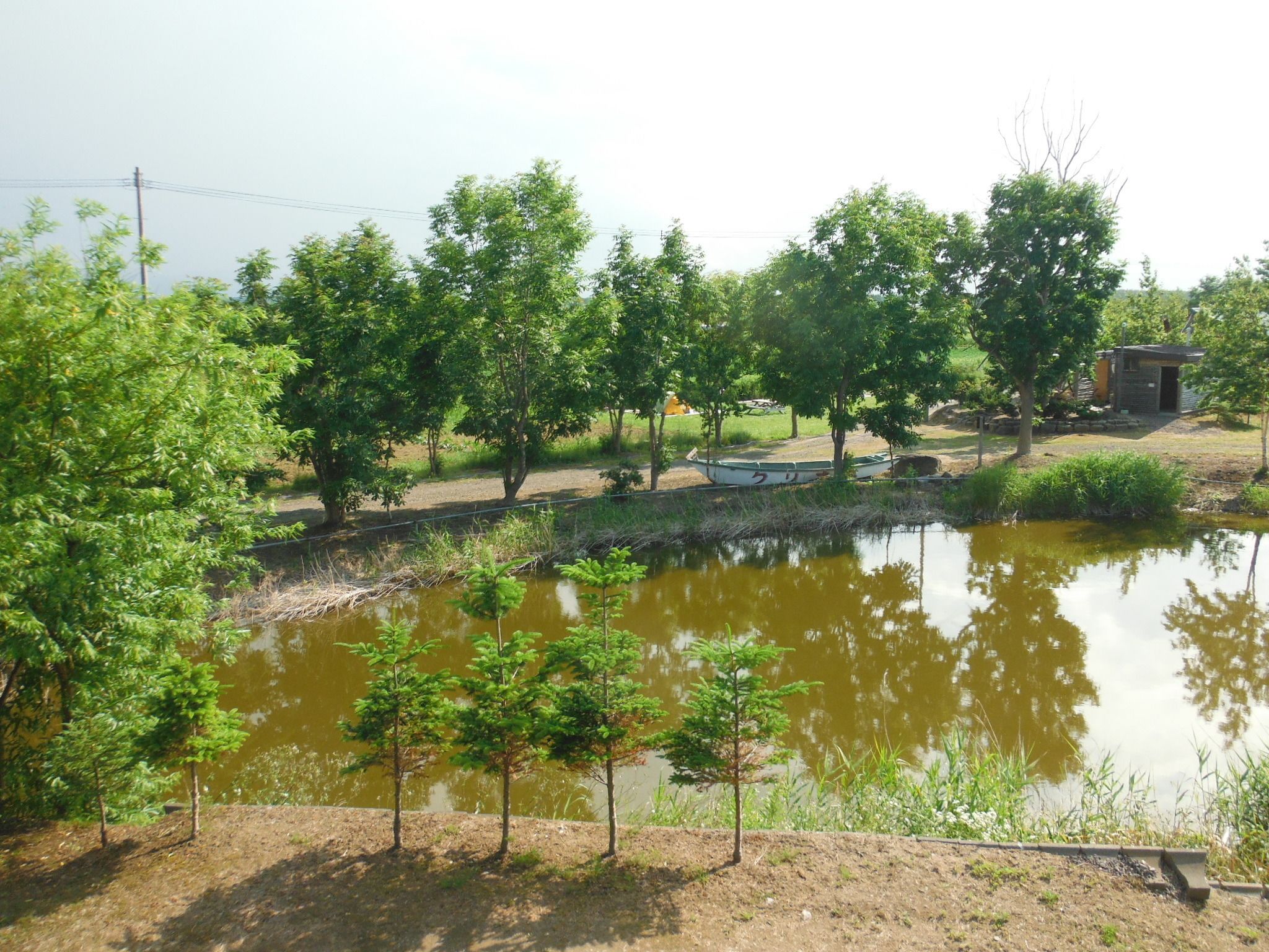 獨特裝潢、布置獨特、書桌