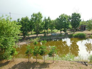 Individually decorated, individually furnished, desk - Clione Camp Guest House (Shari)