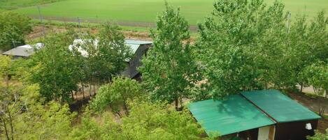 Bungalow | Aerial view