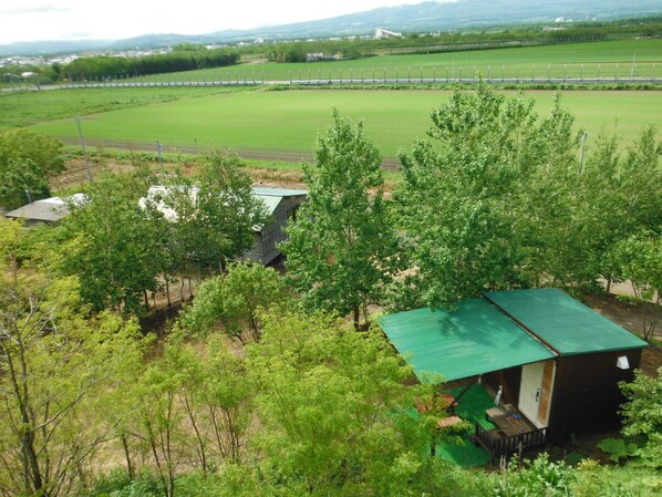 A small wooden cabin with a green roof, surrounded by trees and fields.