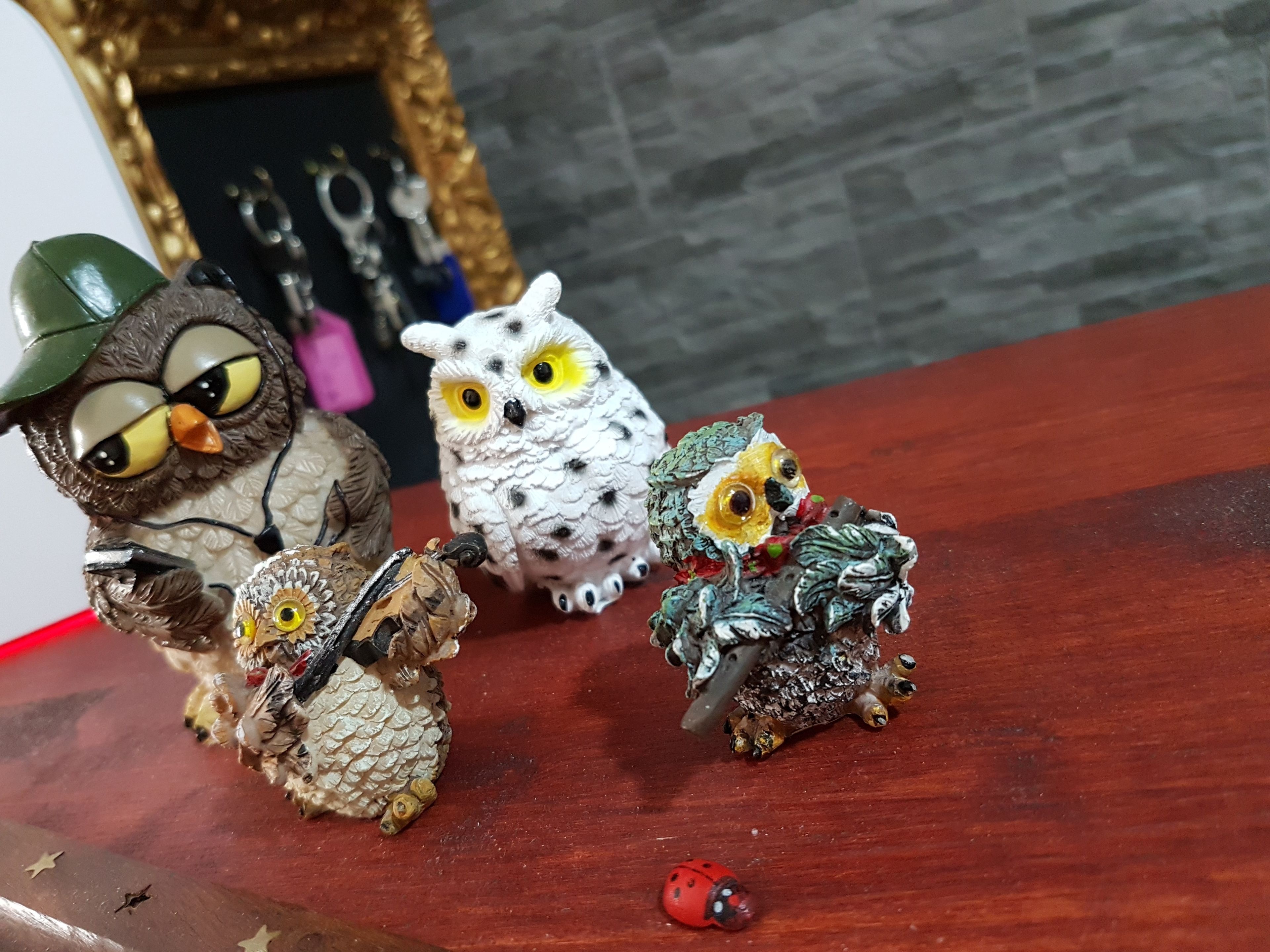 A collection of owl figurines on a wooden surface.