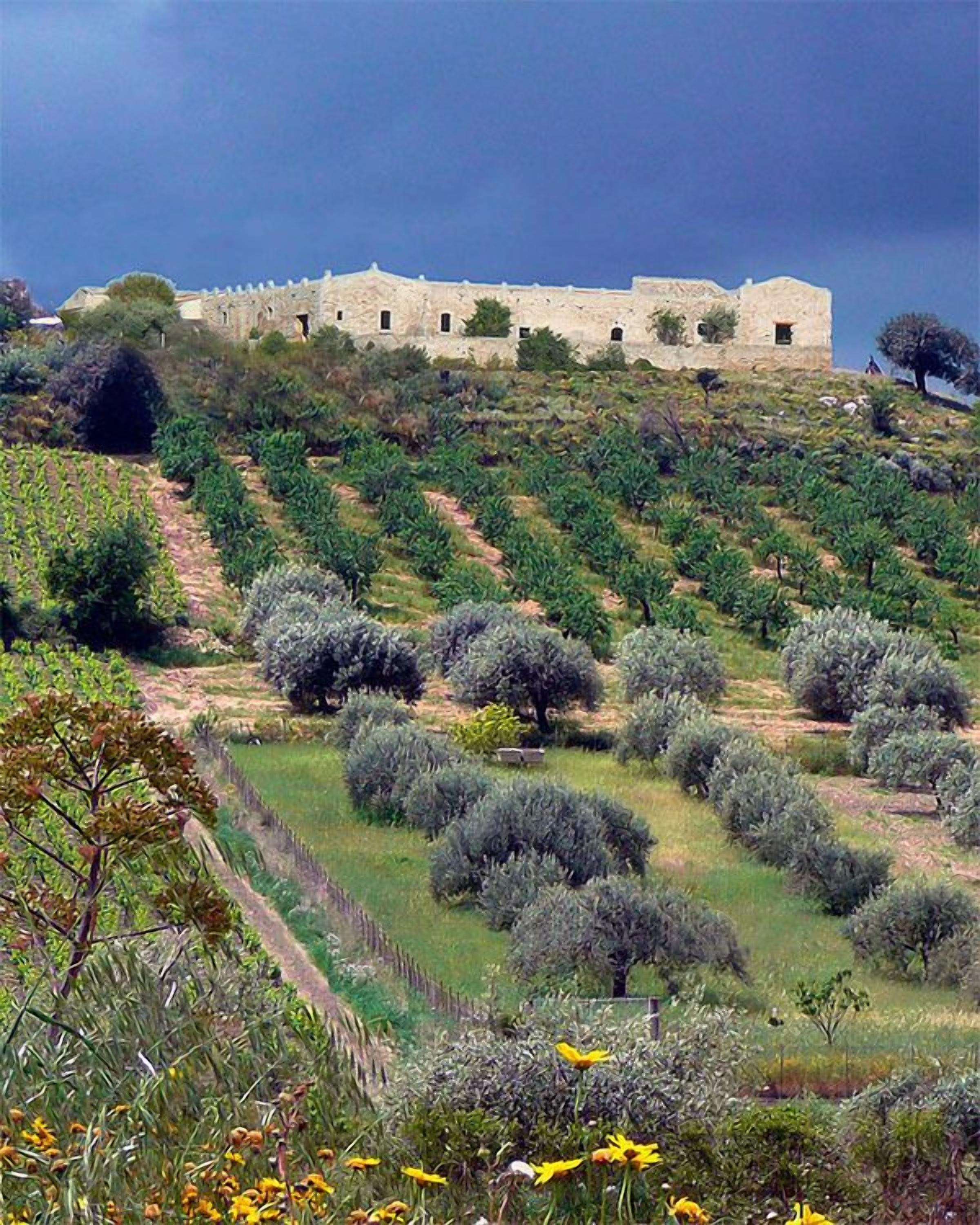 Foto - Masseria del Carrubo