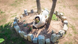 A garden with a white pot planter surrounded by a stone border, a tree, and some greenery. - Agriturismo L'Oasi (Ceraso)