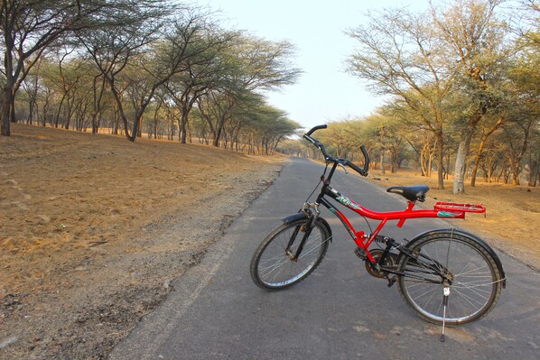 A bicycle parked on a paved path in a natural setting with trees.